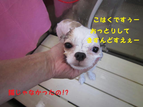 c7bd0230.JPG
