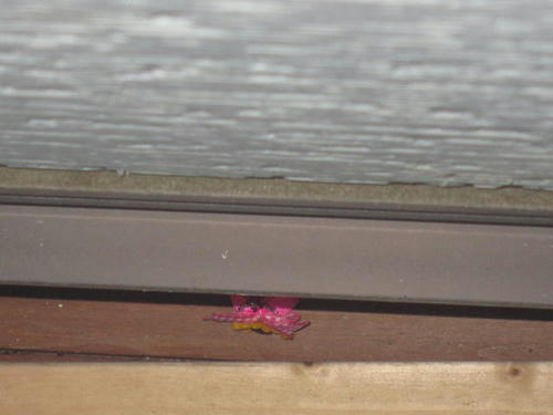 9f0bd95d.JPG