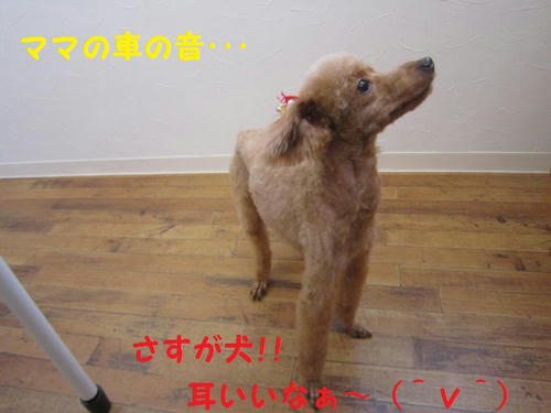 27ab26cd.JPG