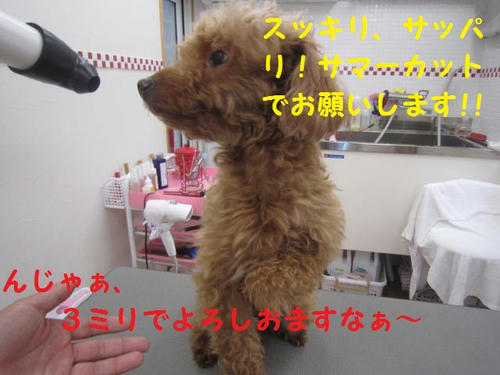 6874393f.JPG