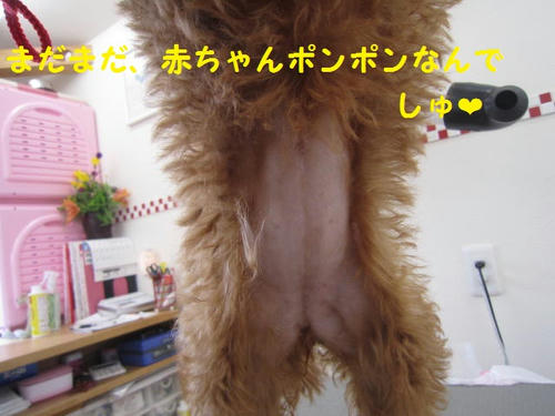 8d4a533e.JPG