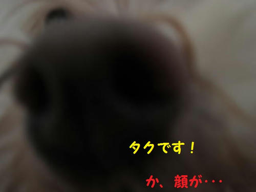 83e9796b.JPG