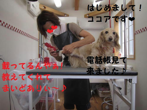 bd87c669.JPG