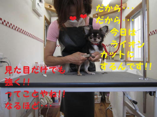 8072c900.JPG