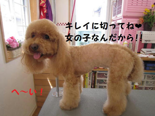 be91abf2.JPG