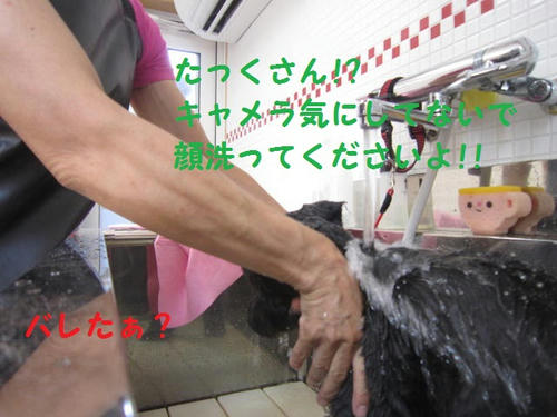 IMG_1672.JPG