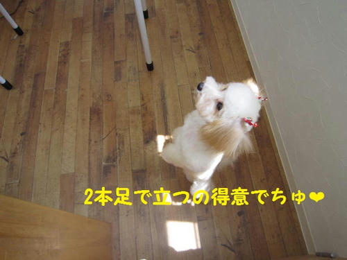 IMG_1734.JPG