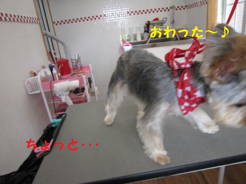 IMG_1865.JPG