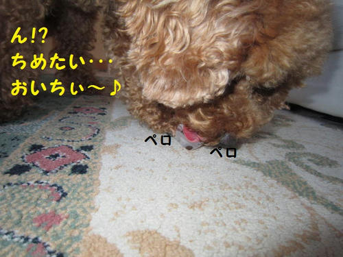 IMG_1958.JPG