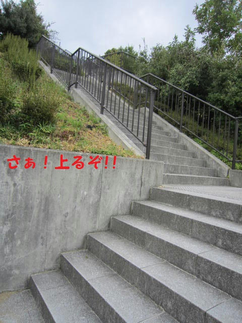IMG_2240.JPG