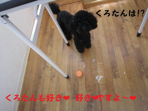 IMG_2690.JPG
