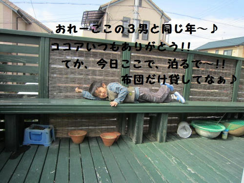 IMG_3530.JPG