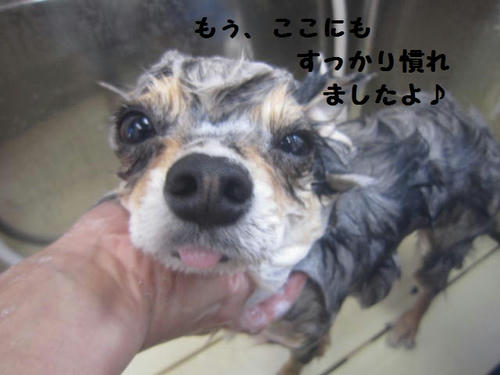 6a81dd77.JPG