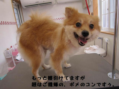 aaa70596.JPG