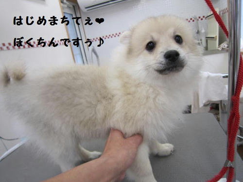 cdc2cdc9.JPG
