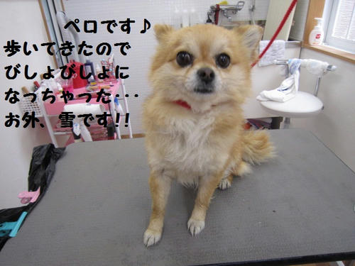 8b8f6180.JPG