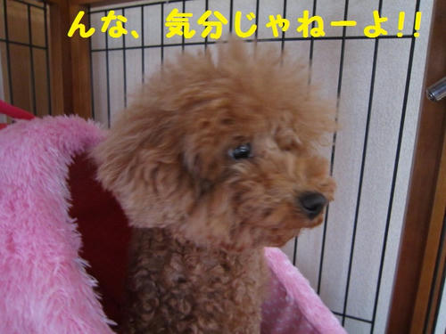3c86a052.JPG
