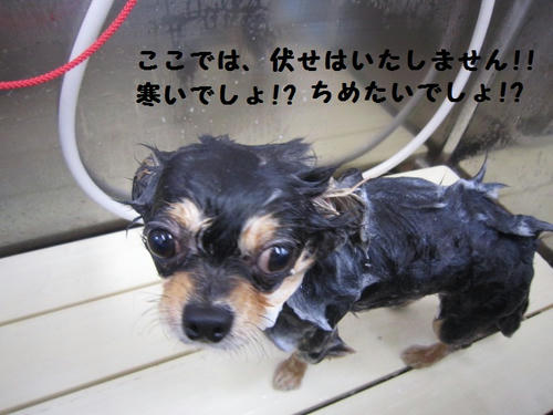 8f6a8650.JPG