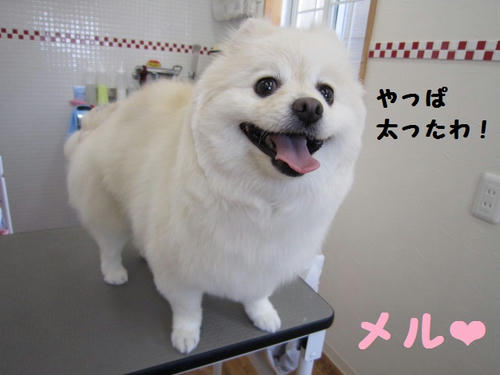 de5b9d88.JPG