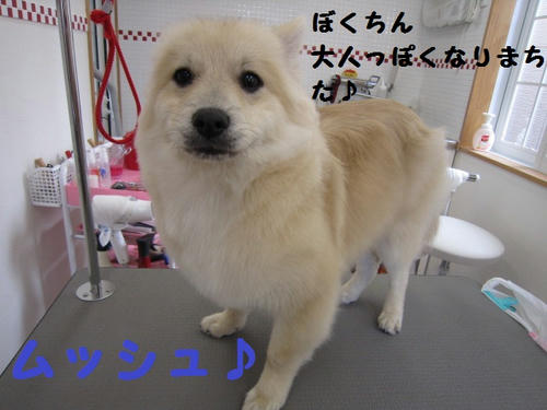c98f427a.JPG