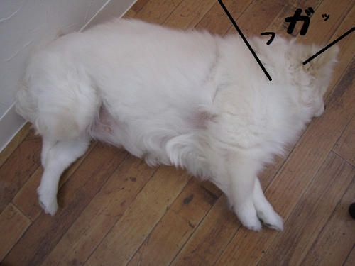 9edcd954.JPG