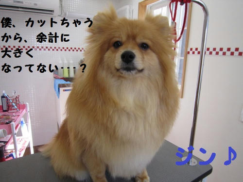 30135b34.JPG