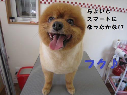 c766f7b4.JPG