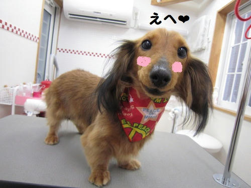 4f5ffac7.JPG