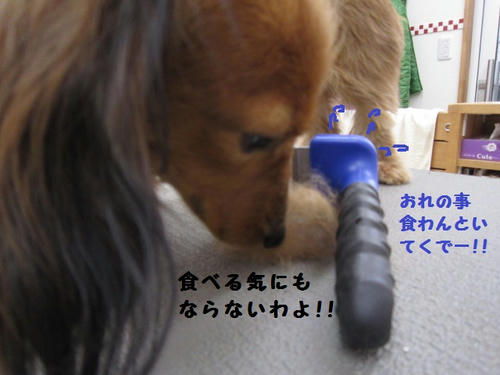 45abfe9f.JPG