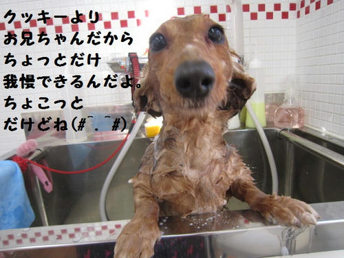 77529ea9.JPG