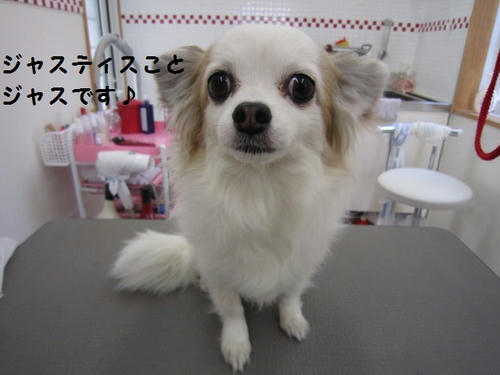 8d4a818f.JPG