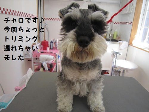 47459f54.JPG