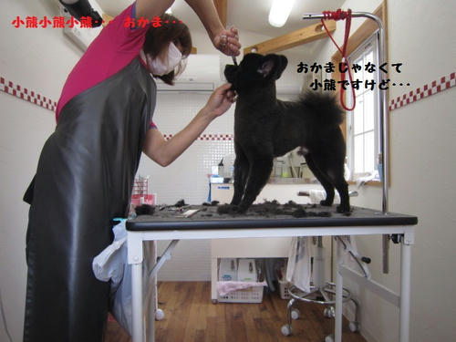 dd9885d4.JPG