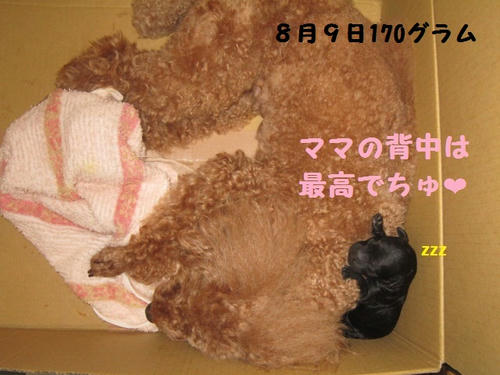 e985d401.JPG