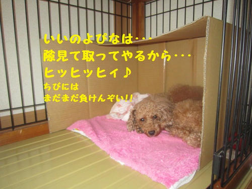 IMG_3697.JPG