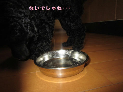 IMG_3717.JPG