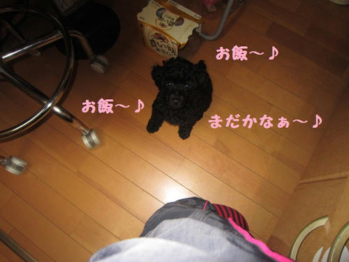 IMG_3710.JPG