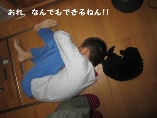 2b09593e.JPG