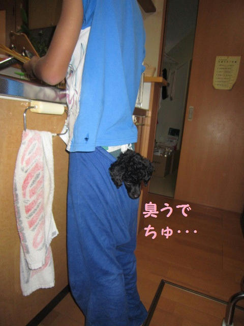 ef0b6145.JPG