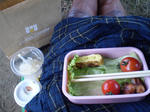 PB091074.jpg