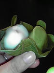 200905031123000.jpg