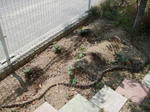 DSCF0306.jpg