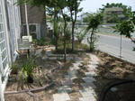 DSCF0309.jpg
