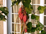 DSCF0422.jpg