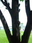 P1000139.JPG