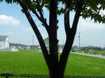 P1000140.JPG