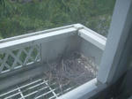 DSCF1434.JPG