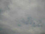 IMG_23391.jpg
