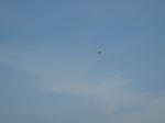 IMG_2510.JPG