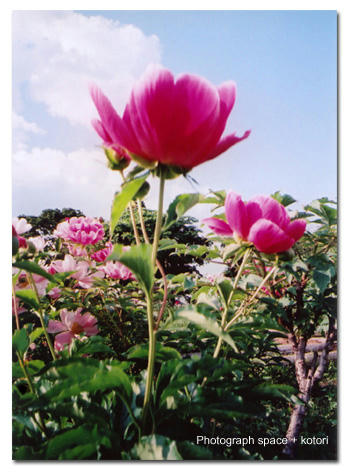 836ee890.jpg